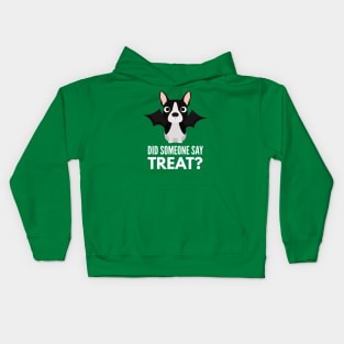 Boston Terrier Halloween Trick or Treat Kids Hoodie